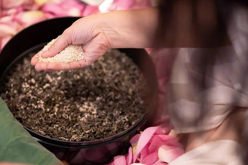 Lễ hội sen Hà Nội: Mở ra cánh cửa công nghiệp văn hóa