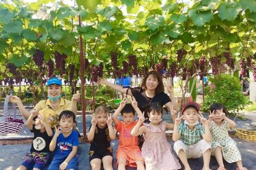 Vườn nho ở Hà Nội chín mọng thu hút nhiều người dân tới chụp hình