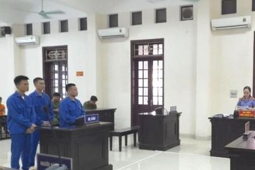 Tuyên án tử hình 3 đối tượng vận chuyển gần 30kg ma túy từ Lào về Việt Nam
