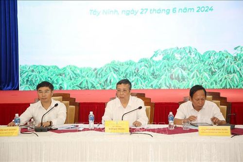 Đưa ngành sắn phát triển bền vững