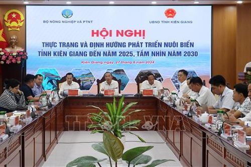 Kiên Giang đề xuất phát triển nghề nuôi biển theo hướng công nghiệp, hiện đại
