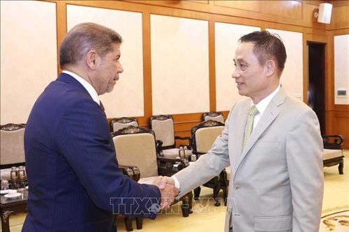 Tăng cường quan hệ trên kênh đảng nhằm thúc đẩy hợp tác Việt Nam - Dominicana
