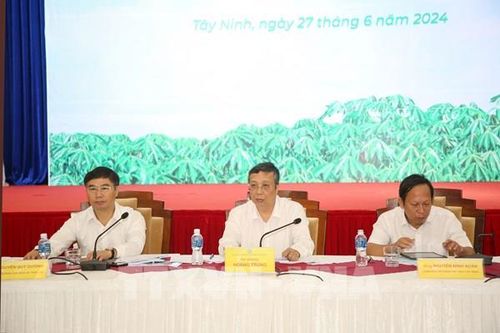 Phát triển bền vững ngành hàng sắn