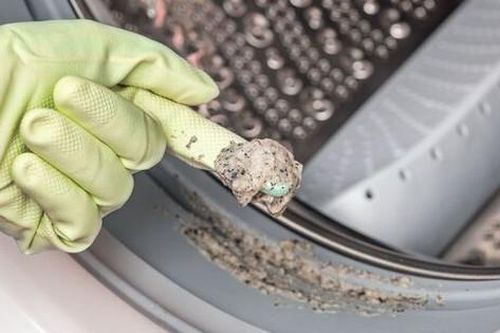 Nhà vi trùng học tiết lộ 'độ bẩn' của máy giặt: Trong đó có vi khuẩn, virus, nấm mốc và cả phân người