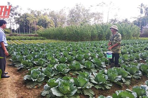 Cựu chiến binh huyện Vĩnh Lộc giúp nhau làm kinh tế giỏi