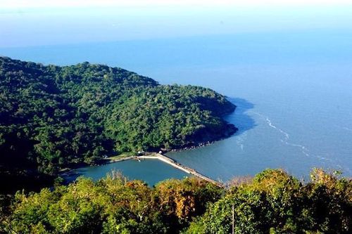 Cà Mau thành lập Khu bảo tồn biển 27.000 ha