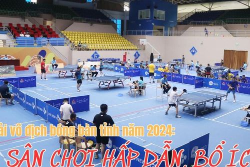 Sân chơi hấp dẫn, bổ ích