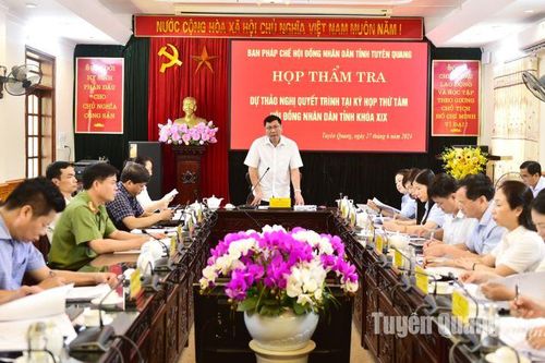 Thẩm tra các dự thảo nghị quyết trình Kỳ họp thứ tám HĐND tỉnh khóa XIX