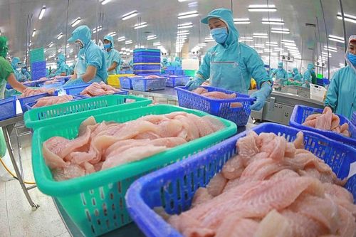Mỹ tăng nhập khẩu cá tra chế biến sâu, lãi ròng năm nay của Thủy sản Vĩnh Hoàn (VHC) có thể tăng 30%