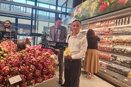Thanh long tươi Việt Nam lần đầu có mặt tại thị trường Ả-rập Xê-út