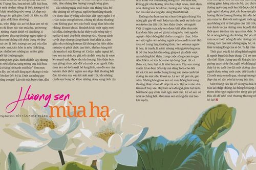 Hương sen mùa hạ
