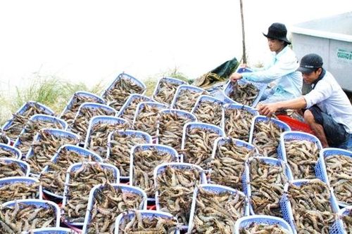 Gỡ khó cho doanh nghiệp xuất khẩu thủy sản