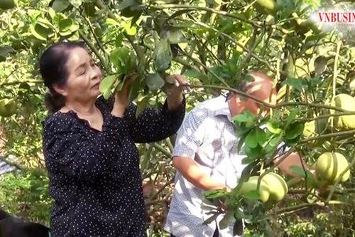 Chuyện làm giàu của những 'tỷ phú nông dân' ở An Giang