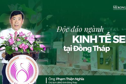 Độc đáo ngành kinh tế sen tại Đồng Tháp