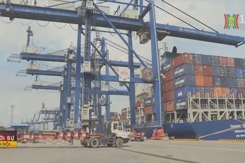 Pháp lý – chìa khóa thành công cho doanh nghiệp xuất khẩu