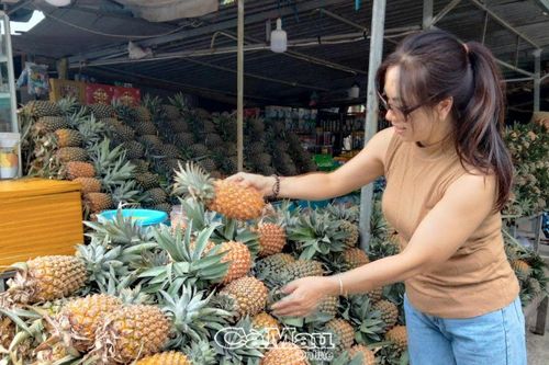 Khóm Tắc Cậu - Danh tiếng trăm năm