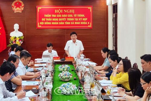 Ban Văn hóa - Xã hội HĐND tỉnh thẩm tra các văn bản trình kỳ họp thứ 14