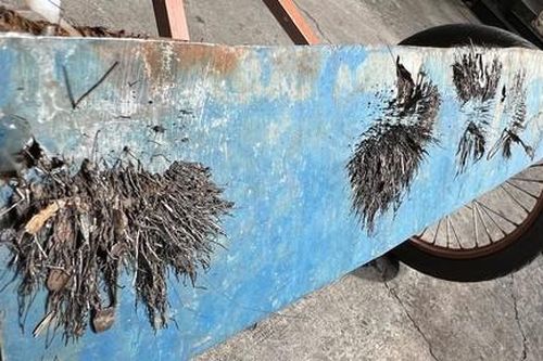 Tội ác mang tên 'đinh tặc'