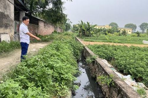Trang trại chăn nuôi gây ô nhiễm môi trường tại xã Lê Thanh (huyện Mỹ Đức): Phải sớm xử lý dứt điểm