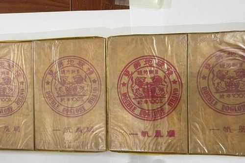 'Kho bí mật' chứa số lượng ma túy khổng lồ trong căn phòng trọ của hai mẹ con