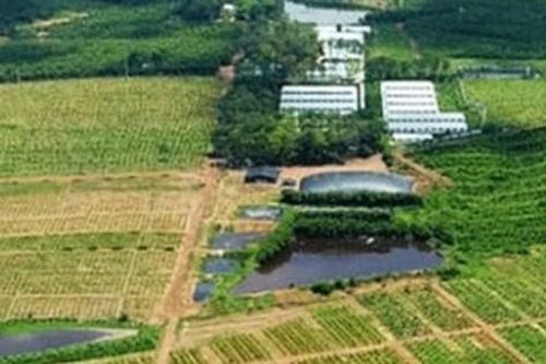 Cơn sốt 'bỏ phố về rừng' thoái trào: Đất vườn giảm giá sâu vẫn không thể bán