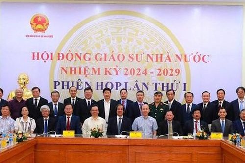 Năm 2024, Hội đồng Giáo sư ngành Y học có 15 thành viên