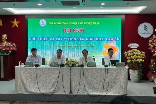Đưa sản phẩm cao-su lên sàn giao dịch