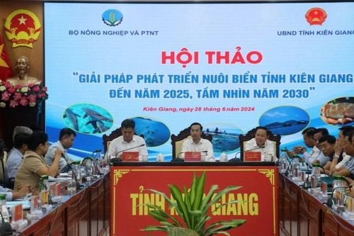 Kiên Giang tìm giải pháp phát triển nghề nuôi biển bền vững