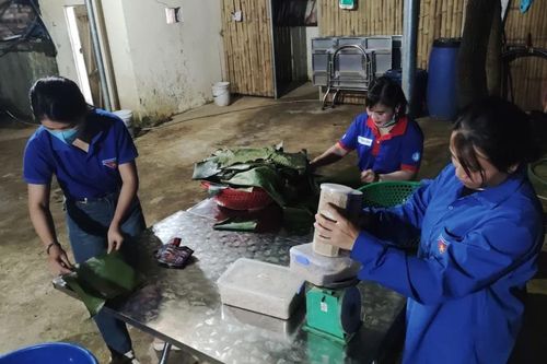 Thâu đêm lo hậu cần tiếp sức 'sĩ tử' vùng cao nguyên đá Tủa Chùa