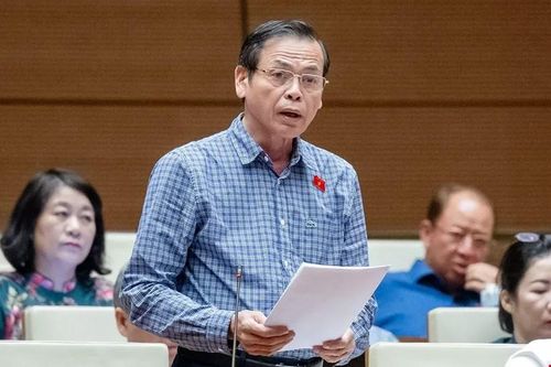 Đại biểu QH đề xuất bổ sung một điều về định giá quyền khai thác khoáng sản