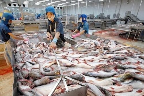 Giá thủy sản xuất khẩu sụt giảm, kỳ vọng thị trường phục hồi vào cuối năm