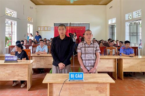 TAND huyện Chi Lăng hưởng ứng Tháng hành động phòng, chống ma túy năm 2024