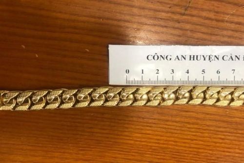 Nghi phạm 17 tuổi cướp tiệm vàng tại Long An, bị bắt khi lẩn trốn ở TPHCM