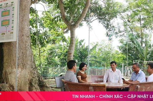 Học Bác, người dân xã miền núi Hương Sơn ra sức xây dựng quê hương
