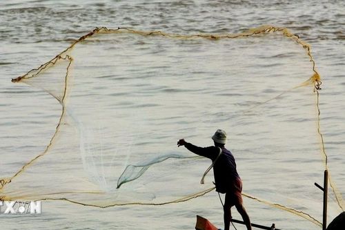 USAID dự kiến tài trợ 5 triệu USD cho quản lý tài nguyên lưu vực sông Mekong