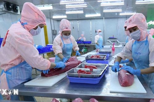 Nhiều hoạt động đặc sắc tại Lễ hội tinh hoa đất biển Bình Định năm 2024