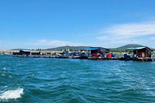 Kiên Giang: Nhiều giải pháp phát triển nghề nuôi biển