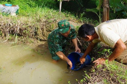 Bộ đội Biên phòng tỉnh Nghệ An hướng dẫn người dân làm kinh tế, vươn lên thoát nghèo