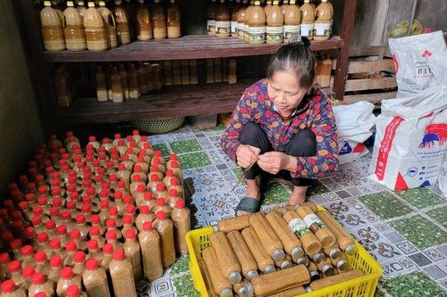Phát triển liên kết chuỗi giá trị và tiêu thụ sản phẩm OCOP Nghệ An