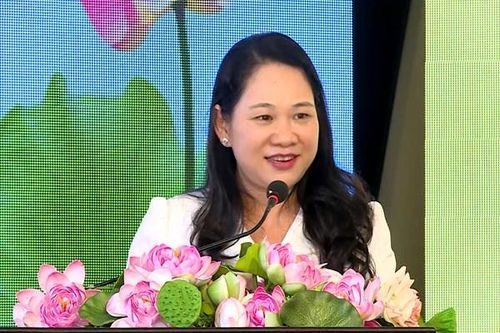 Điều tra, thu thập thông tin: Định hướng phát triển vùng đồng bào dân tộc thiểu số và miền núi