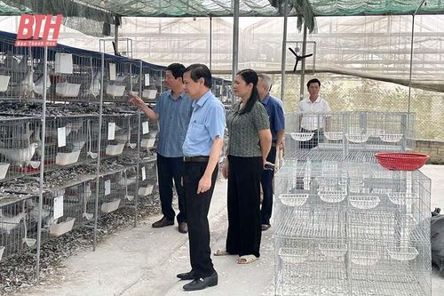 Nông dân Vĩnh Lộc thi đua sản xuất, kinh doanh giỏi
