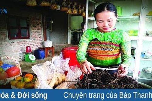 Giáo viên và nỗi niềm làm thêm dịp hè
