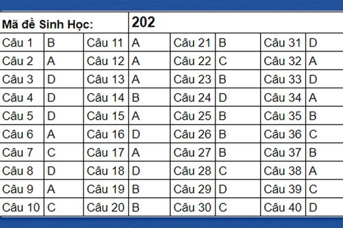 Gợi ý giải bài thi các môn khoa học tự nhiên Kỳ thi tốt nghiệp trung học phổ thông 2024