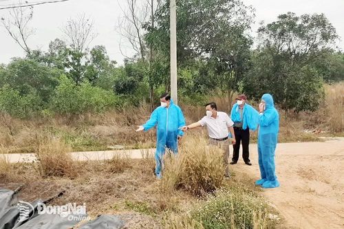 Tỉnh ủy, UBND tỉnh vào cuộc kiểm tra môi trường cơ sở chăn nuôi