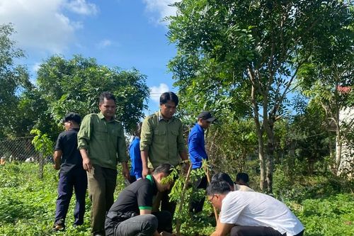 Xã Ia Pếch trồng 7.000 cây lim và giáng hương hưởng ứng Ngày Môi trường thế giới