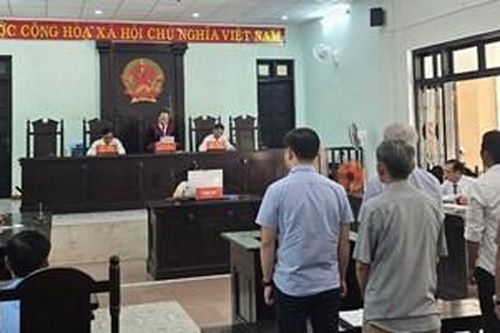 Tuyên án 5 bị cáo gây thiệt hại cho Nhà nước hơn 11.000m³ gỗ thông