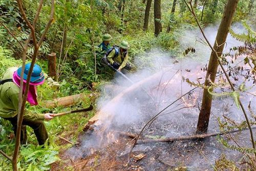 Nghệ An triển khai nhiều giải pháp phòng, chống cháy rừng