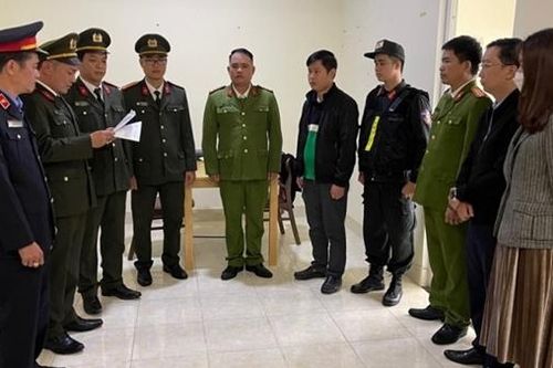 Gây thiệt hại hơn 11.000m3 gỗ thông, 3 giám đốc cùng thuộc cấp lãnh án