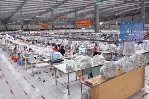 Đình chỉ hoạt động cơ sở chưa điều chỉnh nghiệm thu PCCC