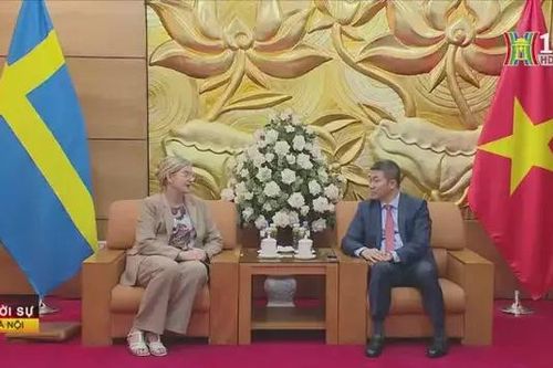 Trao kỷ niệm chương vì hòa bình cho đại sứ Thụy Điển